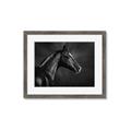 Picture of Black Beauty _GroupedProduct_Rectangle_Landscape_Photography _GroupedProduct_Rectangle_Landscape_Framed_Matted_