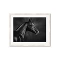 Picture of Black Beauty _GroupedProduct_Rectangle_Landscape_Photography _GroupedProduct_Rectangle_Landscape_Framed_Matted_