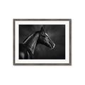 Picture of Black Beauty _GroupedProduct_Rectangle_Landscape_Photography _GroupedProduct_Rectangle_Landscape_Framed_Matted_