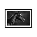 Picture of Black Beauty _GroupedProduct_Rectangle_Landscape_Photography _GroupedProduct_Rectangle_Landscape_Framed_Matted_