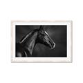 Picture of Black Beauty _GroupedProduct_Rectangle_Landscape_Photography _GroupedProduct_Rectangle_Landscape_Framed_Matted_