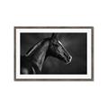 Picture of Black Beauty _GroupedProduct_Rectangle_Landscape_Photography _GroupedProduct_Rectangle_Landscape_Framed_Matted_