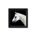 Picture of Side Profile _GroupedProduct_Square_Photography _GroupedProduct_Square_Framed_Matted_