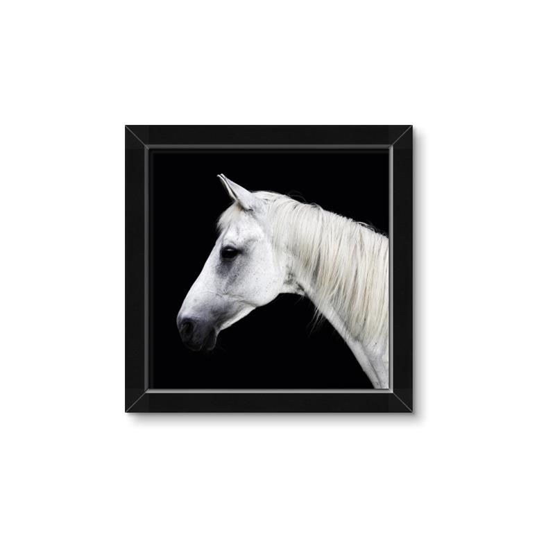 Picture of Side Profile _GroupedProduct_Square_Photography _GroupedProduct_Square_Framed_Matted_