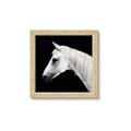 Picture of Side Profile _GroupedProduct_Square_Photography _GroupedProduct_Square_Framed_Matted_