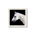 Picture of Side Profile _GroupedProduct_Square_Photography _GroupedProduct_Square_Framed_Matted_