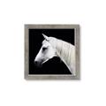 Picture of Side Profile _GroupedProduct_Square_Photography _GroupedProduct_Square_Framed_Matted_