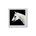 Picture of Side Profile _GroupedProduct_Square_Photography _GroupedProduct_Square_Framed_Matted_
