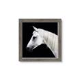 Picture of Side Profile _GroupedProduct_Square_Photography _GroupedProduct_Square_Framed_Matted_