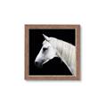 Picture of Side Profile _GroupedProduct_Square_Photography _GroupedProduct_Square_Framed_Matted_