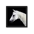 Picture of Side Profile _GroupedProduct_Square_Photography _GroupedProduct_Square_Framed_Matted_