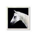 Picture of Side Profile _GroupedProduct_Square_Photography _GroupedProduct_Square_Framed_Matted_