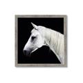 Picture of Side Profile _GroupedProduct_Square_Photography _GroupedProduct_Square_Framed_Matted_