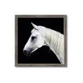 Picture of Side Profile _GroupedProduct_Square_Photography _GroupedProduct_Square_Framed_Matted_