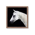 Picture of Side Profile _GroupedProduct_Square_Photography _GroupedProduct_Square_Framed_Matted_