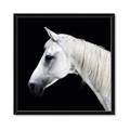 Picture of Side Profile _GroupedProduct_Square_Photography _GroupedProduct_Square_Framed_Matted_