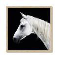 Picture of Side Profile _GroupedProduct_Square_Photography _GroupedProduct_Square_Framed_Matted_
