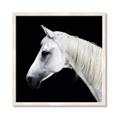 Picture of Side Profile _GroupedProduct_Square_Photography _GroupedProduct_Square_Framed_Matted_