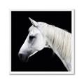 Picture of Side Profile _GroupedProduct_Square_Photography _GroupedProduct_Square_Framed_Matted_