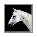 Picture of Side Profile _GroupedProduct_Square_Photography _GroupedProduct_Square_Framed_Matted_