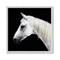 Picture of Side Profile _GroupedProduct_Square_Photography _GroupedProduct_Square_Framed_Matted_