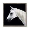 Picture of Side Profile _GroupedProduct_Square_Photography _GroupedProduct_Square_Framed_Matted_