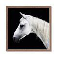 Picture of Side Profile _GroupedProduct_Square_Photography _GroupedProduct_Square_Framed_Matted_