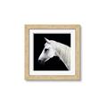 Picture of Side Profile _GroupedProduct_Square_Photography _GroupedProduct_Square_Framed_Matted_