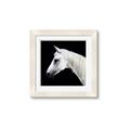 Picture of Side Profile _GroupedProduct_Square_Photography _GroupedProduct_Square_Framed_Matted_