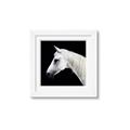 Picture of Side Profile _GroupedProduct_Square_Photography _GroupedProduct_Square_Framed_Matted_
