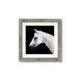 Picture of Side Profile _GroupedProduct_Square_Photography _GroupedProduct_Square_Framed_Matted_
