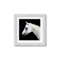 Picture of Side Profile _GroupedProduct_Square_Photography _GroupedProduct_Square_Framed_Matted_