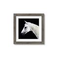 Picture of Side Profile _GroupedProduct_Square_Photography _GroupedProduct_Square_Framed_Matted_