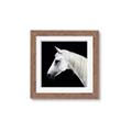 Picture of Side Profile _GroupedProduct_Square_Photography _GroupedProduct_Square_Framed_Matted_
