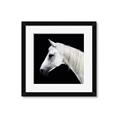 Picture of Side Profile _GroupedProduct_Square_Photography _GroupedProduct_Square_Framed_Matted_