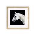 Picture of Side Profile _GroupedProduct_Square_Photography _GroupedProduct_Square_Framed_Matted_