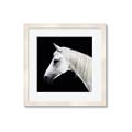 Picture of Side Profile _GroupedProduct_Square_Photography _GroupedProduct_Square_Framed_Matted_