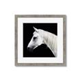 Picture of Side Profile _GroupedProduct_Square_Photography _GroupedProduct_Square_Framed_Matted_