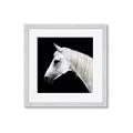 Picture of Side Profile _GroupedProduct_Square_Photography _GroupedProduct_Square_Framed_Matted_