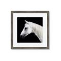 Picture of Side Profile _GroupedProduct_Square_Photography _GroupedProduct_Square_Framed_Matted_