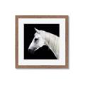 Picture of Side Profile _GroupedProduct_Square_Photography _GroupedProduct_Square_Framed_Matted_