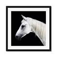 Picture of Side Profile _GroupedProduct_Square_Photography _GroupedProduct_Square_Framed_Matted_