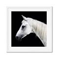 Picture of Side Profile _GroupedProduct_Square_Photography _GroupedProduct_Square_Framed_Matted_