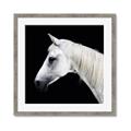 Picture of Side Profile _GroupedProduct_Square_Photography _GroupedProduct_Square_Framed_Matted_