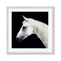 Picture of Side Profile _GroupedProduct_Square_Photography _GroupedProduct_Square_Framed_Matted_