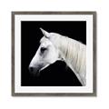 Picture of Side Profile _GroupedProduct_Square_Photography _GroupedProduct_Square_Framed_Matted_