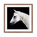 Picture of Side Profile _GroupedProduct_Square_Photography _GroupedProduct_Square_Framed_Matted_