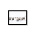Picture of Sheep Party _GroupedProduct_Rectangle_Landscape_Photography _GroupedProduct_Rectangle_Landscape_Framed_Matted_