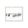 Picture of Sheep Party _GroupedProduct_Rectangle_Landscape_Photography _GroupedProduct_Rectangle_Landscape_Framed_Matted_