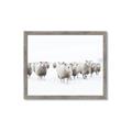 Picture of Sheep Party _GroupedProduct_Rectangle_Landscape_Photography _GroupedProduct_Rectangle_Landscape_Framed_Matted_